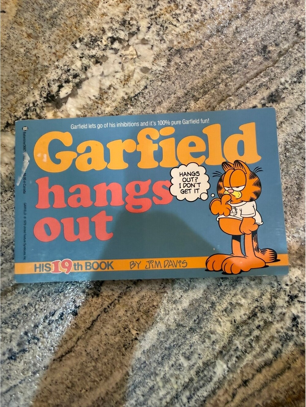 Garfield Hangs Out: His 19th Book by Jim Davis